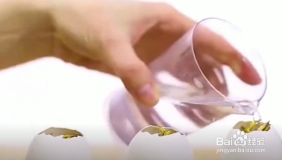 如何学会种植小技巧