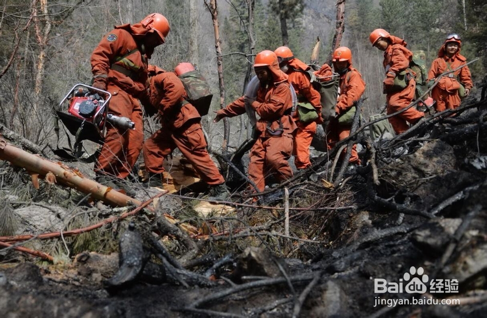 野外如何防止森林火灾，如何自救