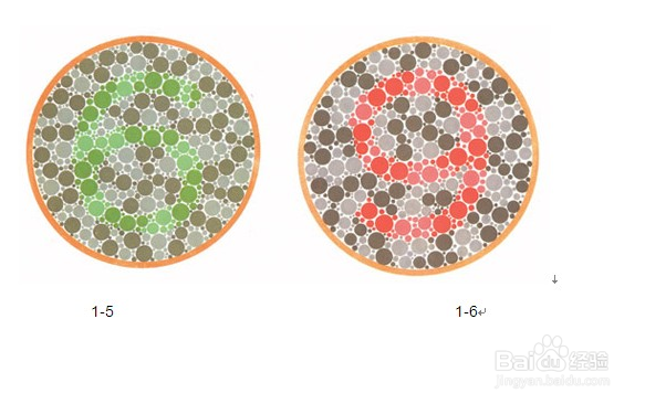 驾校考科目一之前的体检要准备那些东西和流程