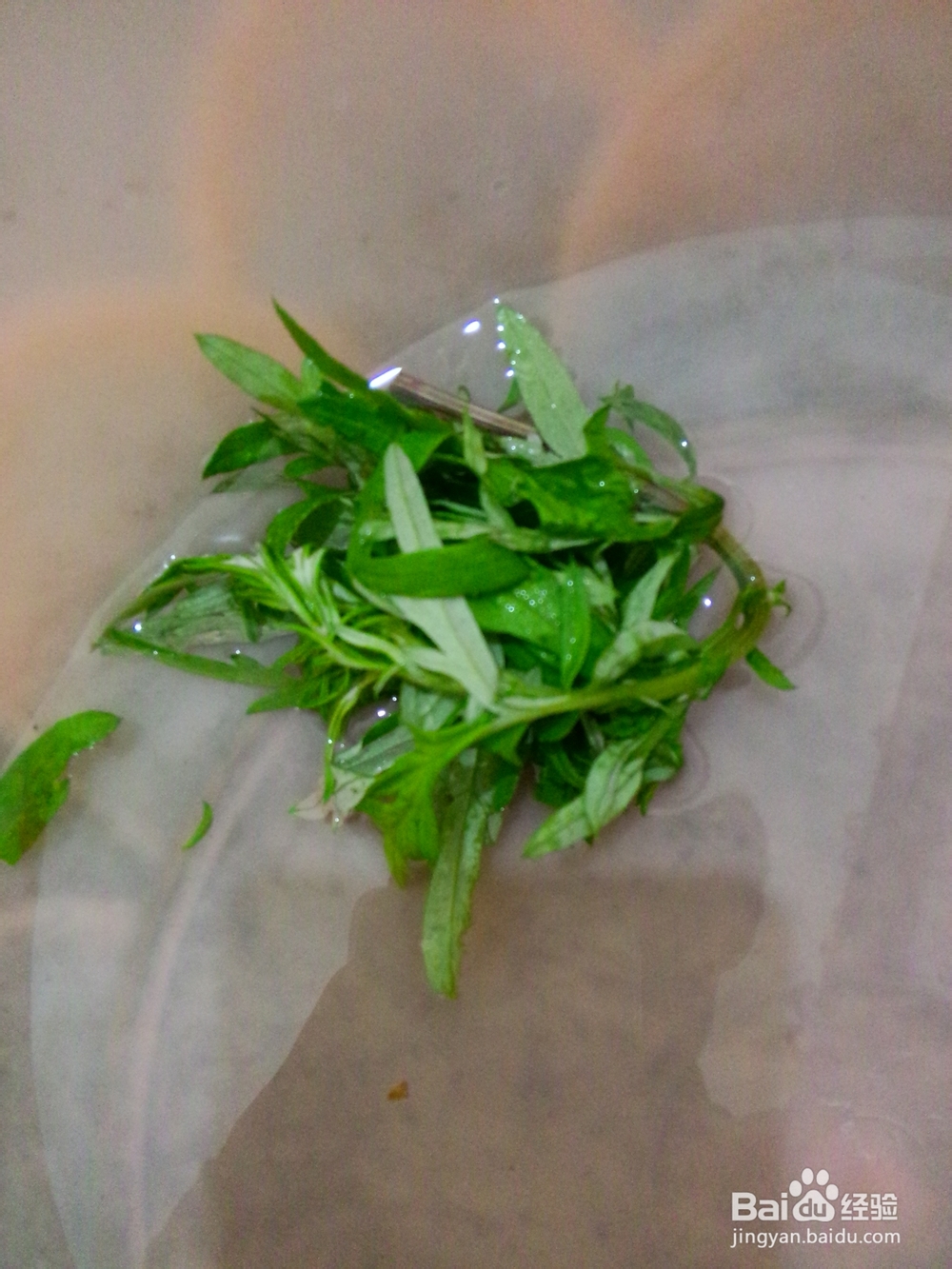 如何治疗牙疼