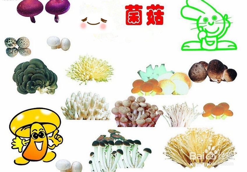 婴幼儿辅食添加哪些能增强宝宝免疫力？