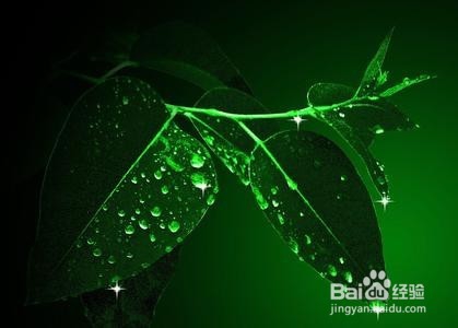 微信陌陌GaGa怎么开始与美女话题聊天