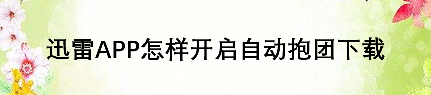 迅雷APP怎样开启自动抱团下载