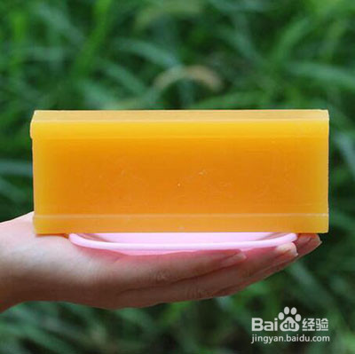 核桃树上虫子蛰了怎么办