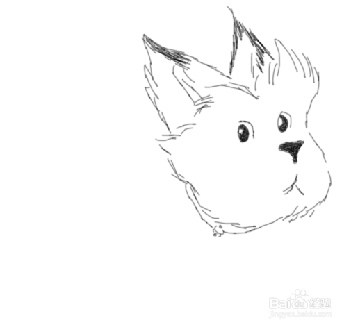 卡通线稿小猫是怎么画的