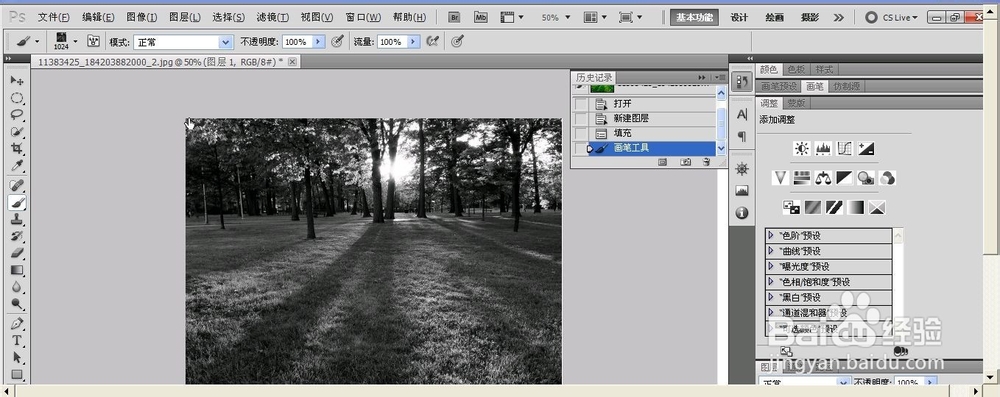利用图片画笔,制作黑白照片
