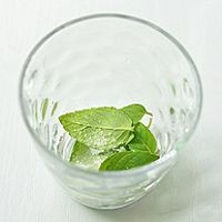 Mojito鸡尾酒怎么调
