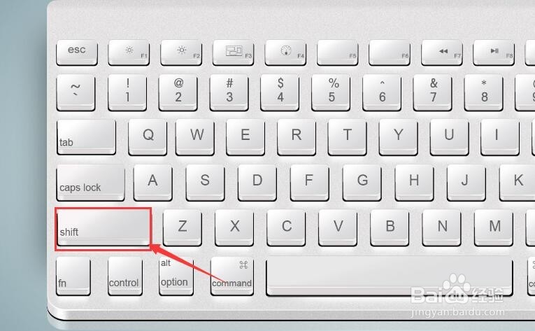 PS软件中如何使用移动工具?