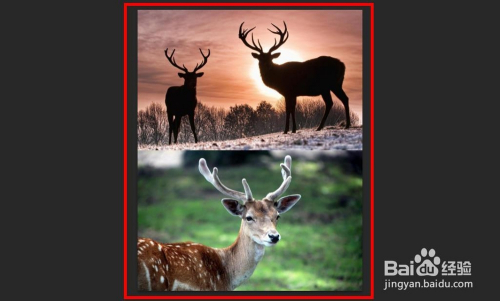 使用ps合并图片的步骤 拼图方法