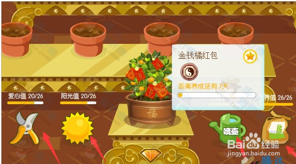 近期会员反映 QQ空间花藤养成过程中枯萎的原因