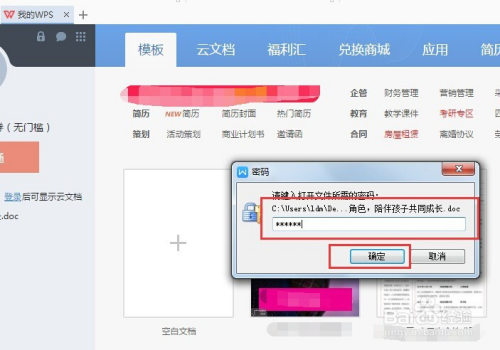 怎么给wps文档加密和解密?