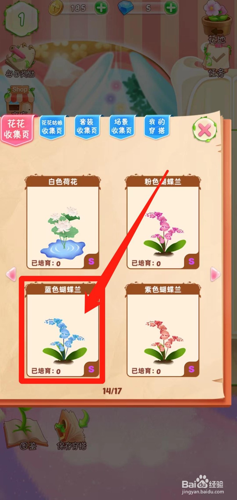 花花姑娘之魔法花园如何查看蓝色蝴蝶兰简介