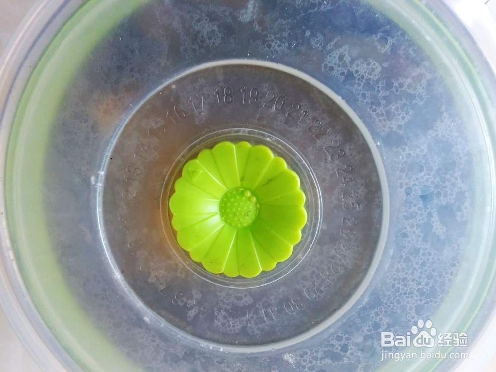 自做的九制陈皮