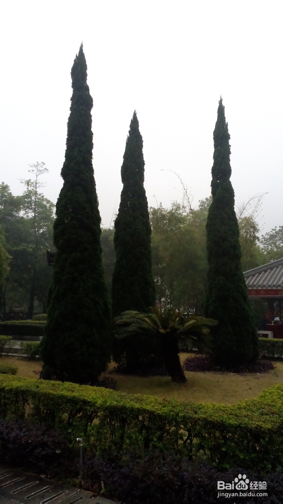 肇庆鼎湖山游记