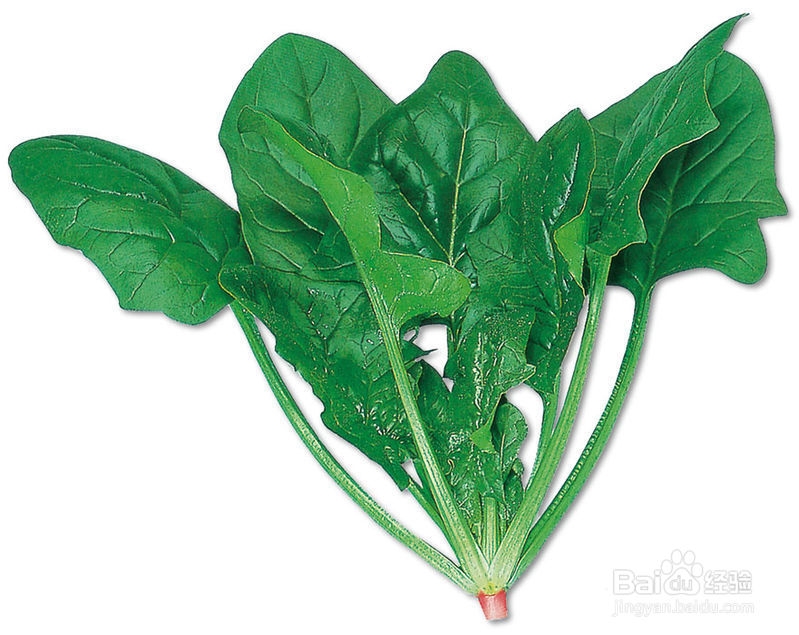 不能在一起吃的食物10