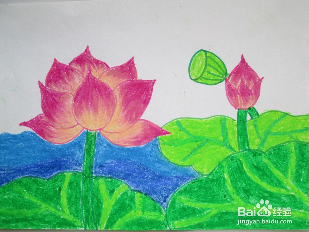我们来学油画棒：[6]荷花
