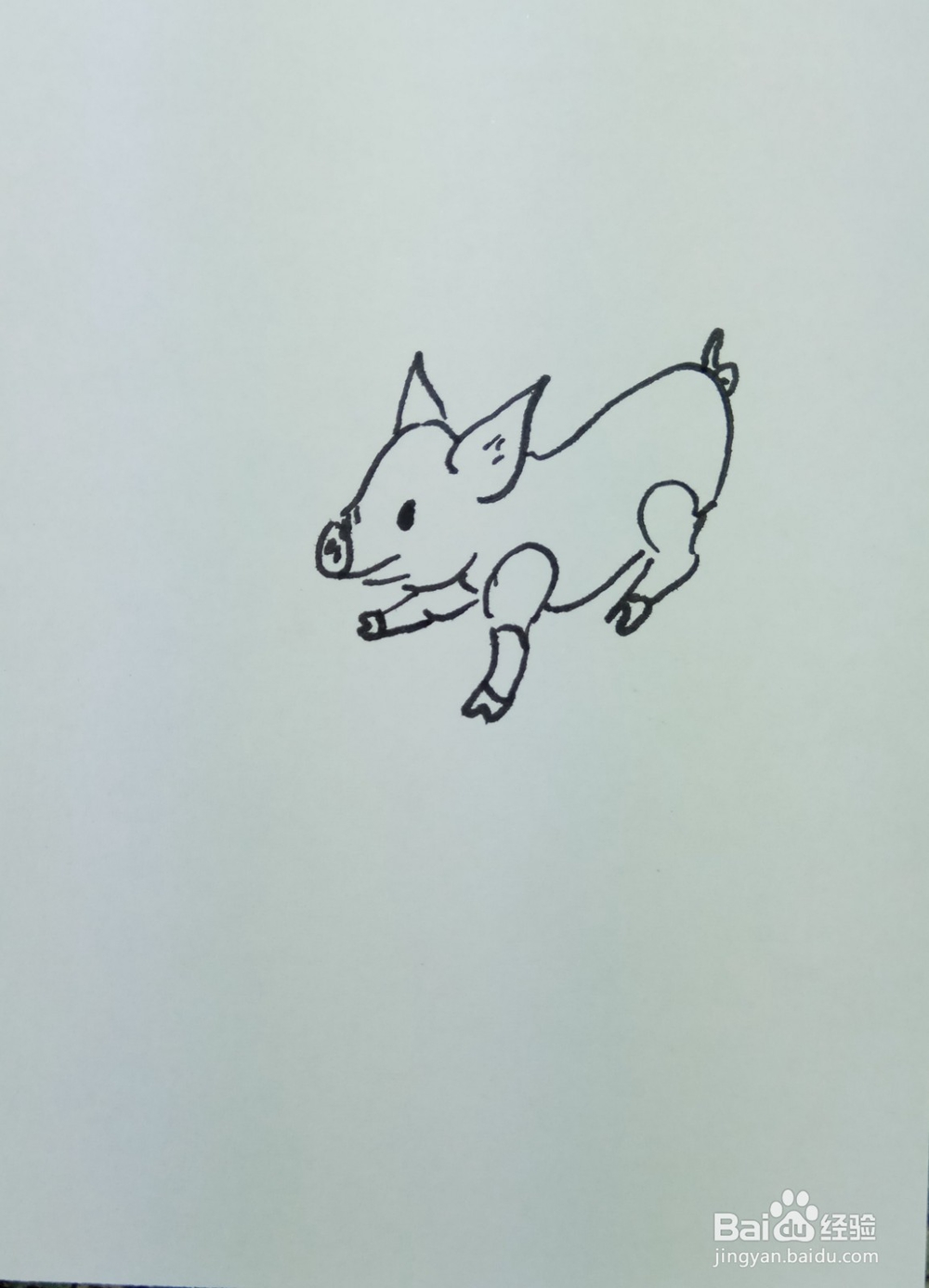 怎样画简笔画“爱嬉戏玩耍的小猪”