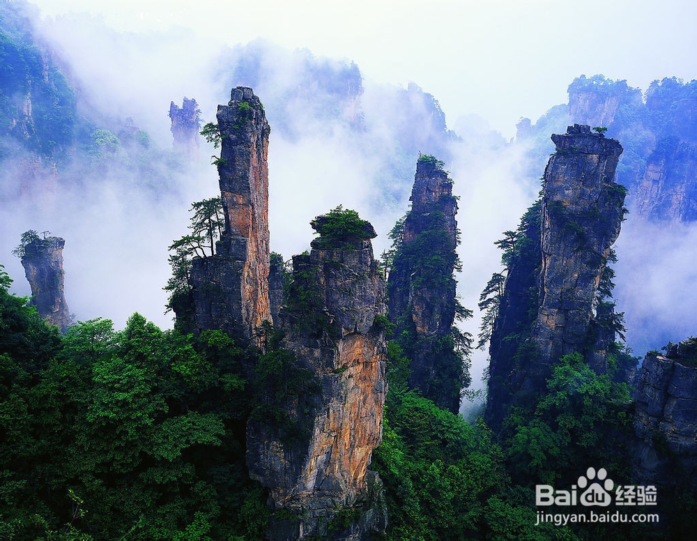 苏州到张家界自驾游