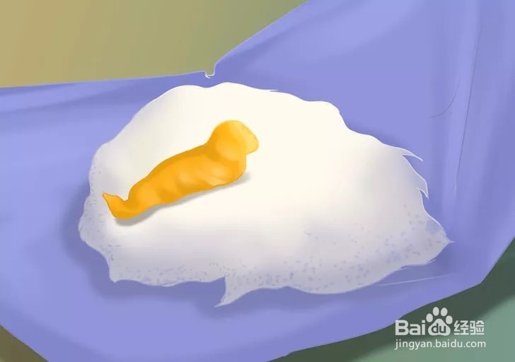 怎样照顾幼猫？