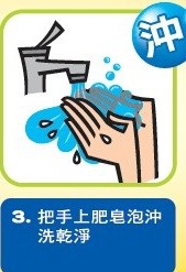 正确洗手的步骤图片