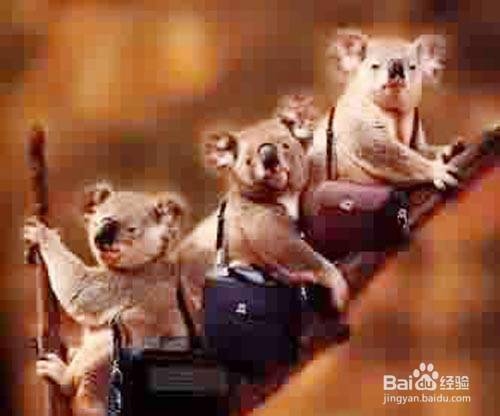 成功的36式：[2]之2后编式