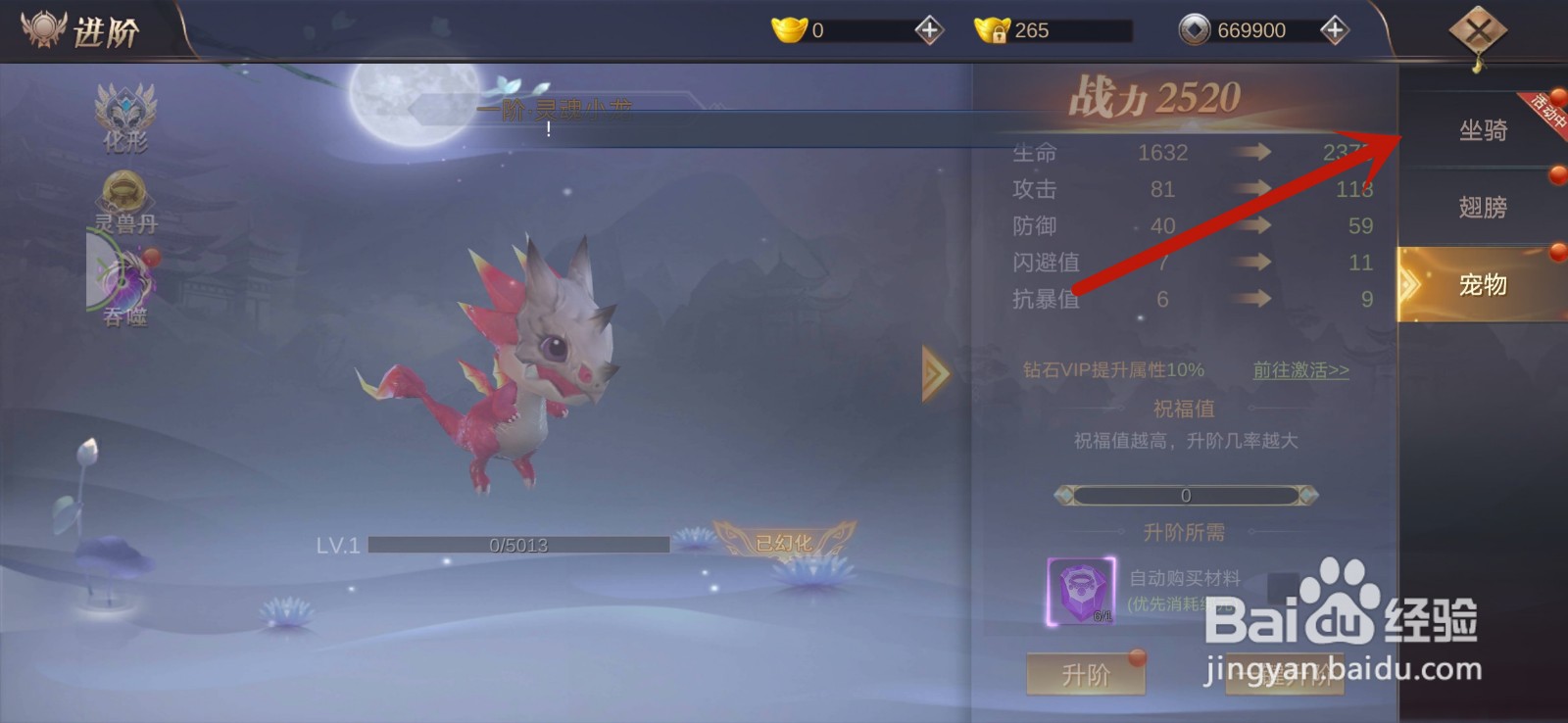 夜将行坐骑怎么升阶