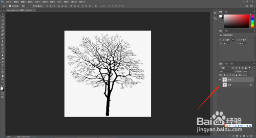 如何用PS抠出复杂的树木等图片？