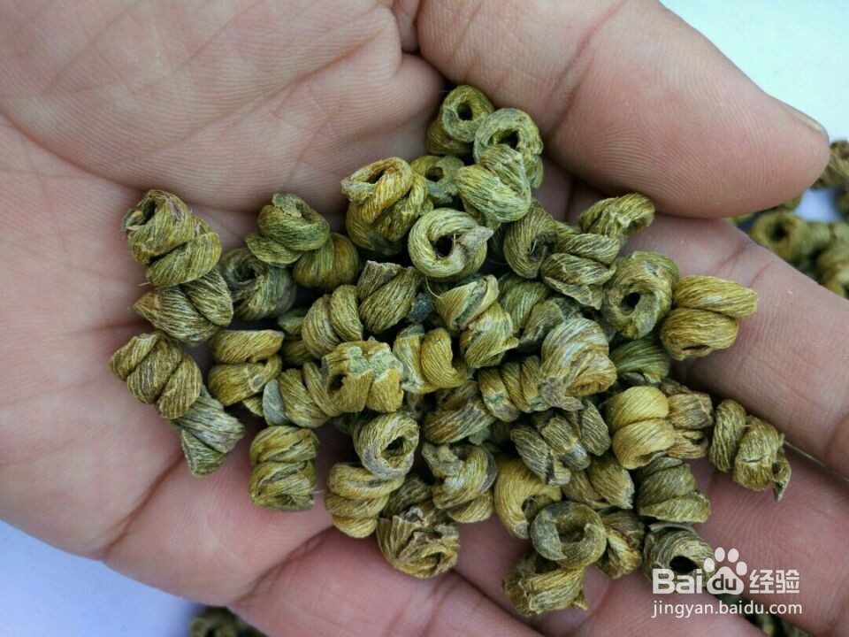 怎么区分霍山石斛和铁皮石斛