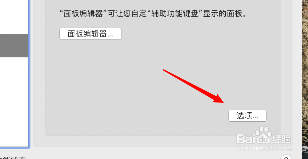 怎么取消mac屏幕键盘始终在面板显示间隙的功能