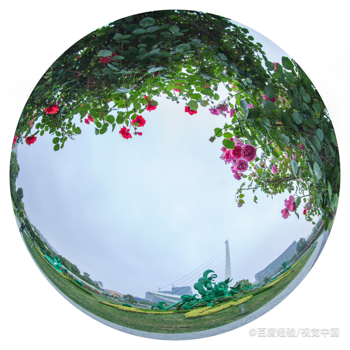 玻璃上的广告纸怎么快速去掉