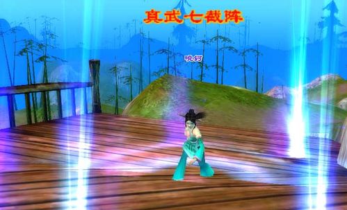 天龙八部2单刷宝宝怎样选择