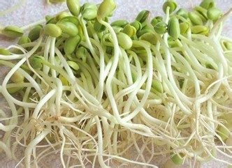 便秘了怎么办