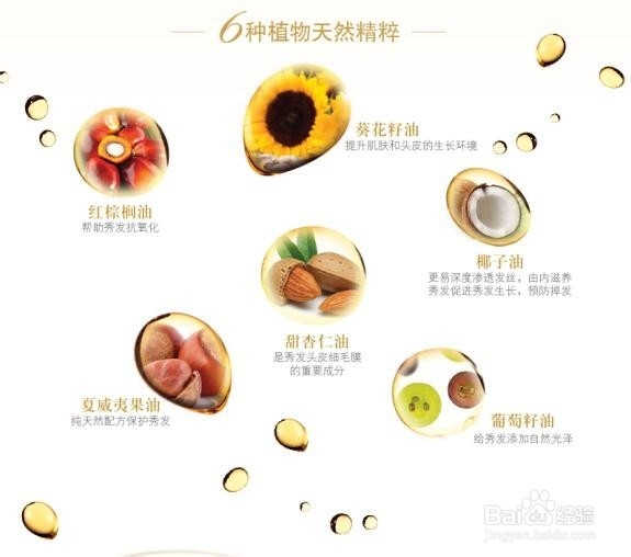 年末造型享百变“染烫时代”秀发就要精油滋养!