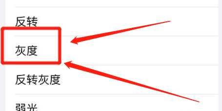 苹果缩放在哪开启灰度滤镜