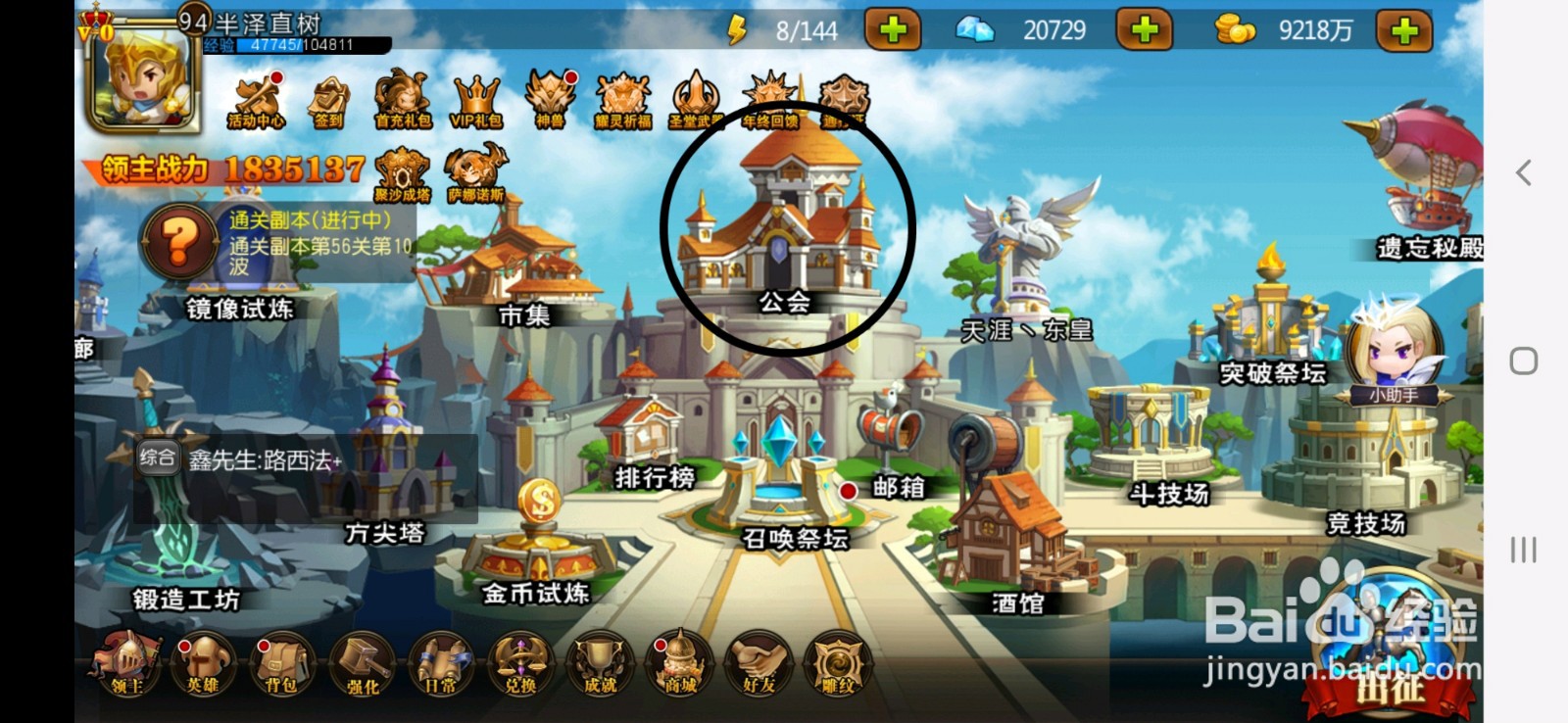 如何查看玩家在公会的本周贡献度和累计贡献度?