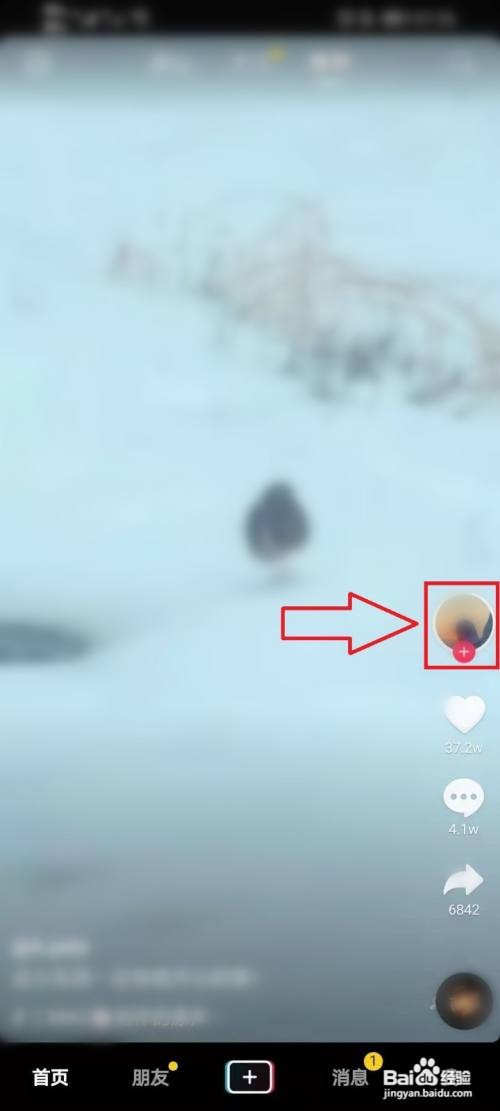 抖音如何私信作者