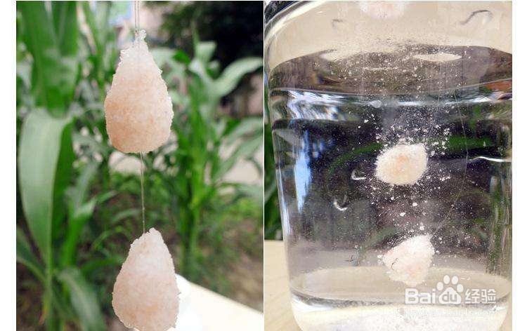 白饵虾饵制作方法