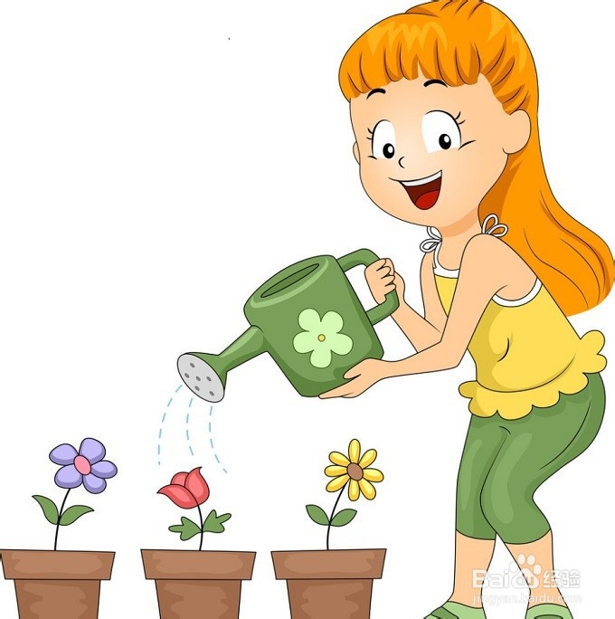 如何养护好发财树？