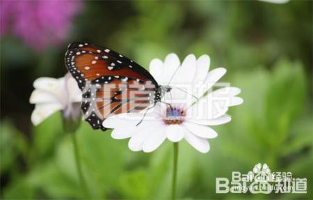 怎样提高阅读效率？