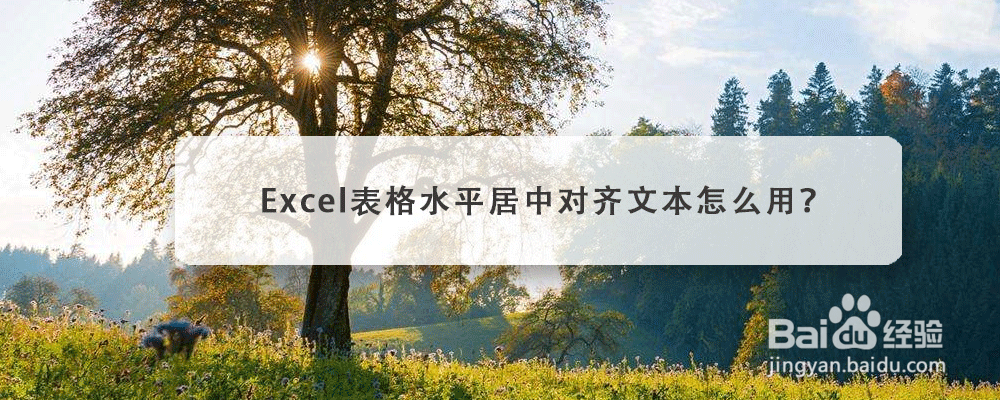 Excel表格水平居中对齐文本怎么用