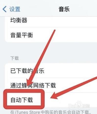 在哪关闭苹果音乐自动下载功能?
