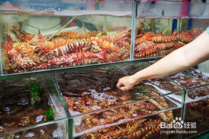 2016年度美食盛宴