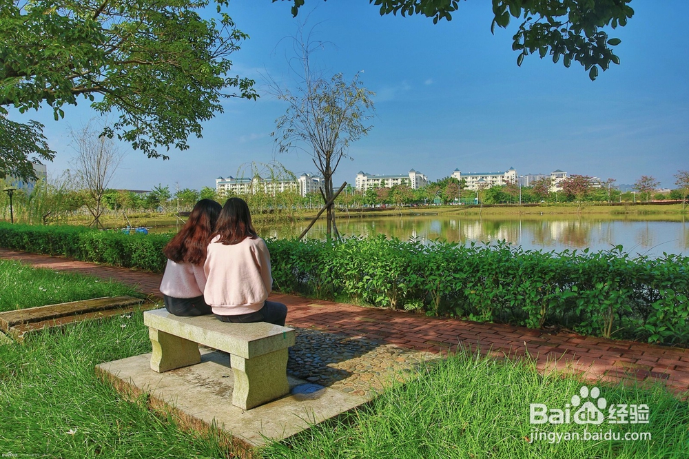 【校园指南】广东水院拍照胜地篇