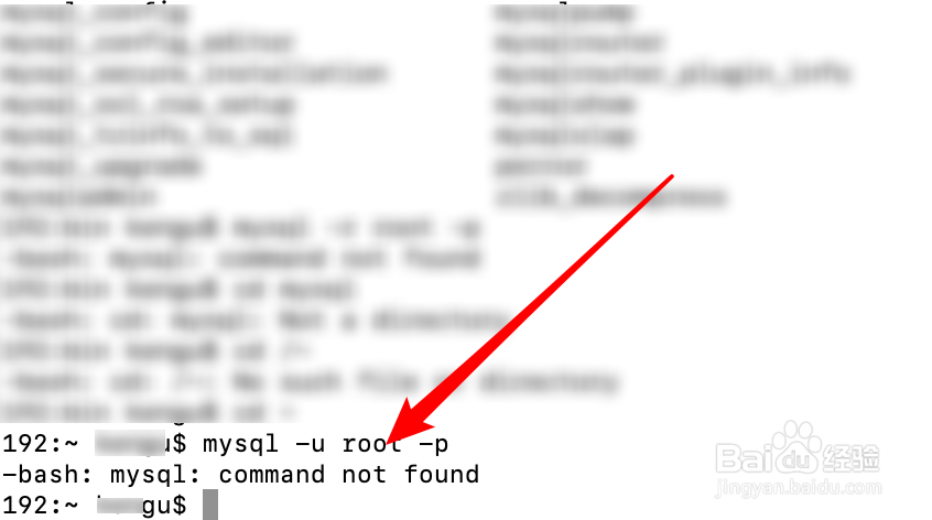 <b>mac mysql: command not found，怎么办</b>