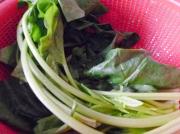 菠菜鸡蛋汤的家常做法