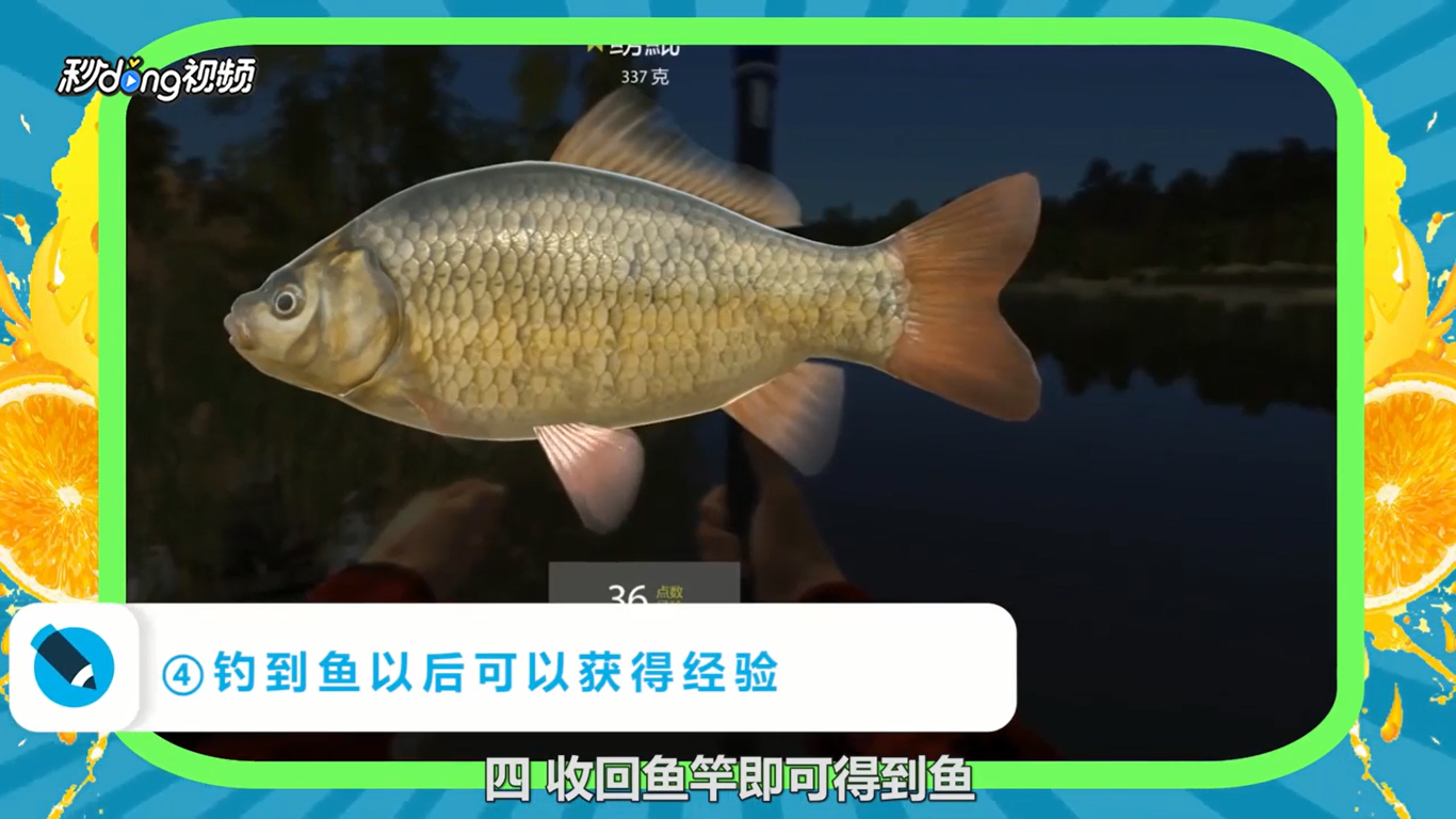 russian fishing 4攻略