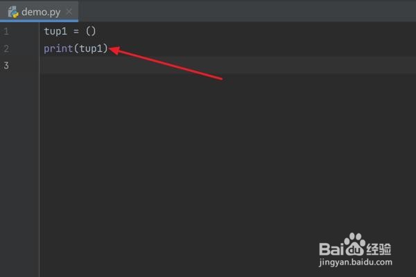 怎么在Python中创建空元组