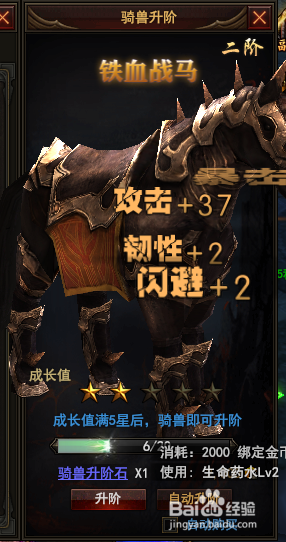 黑暗之光如何强化装备和骑兽进阶