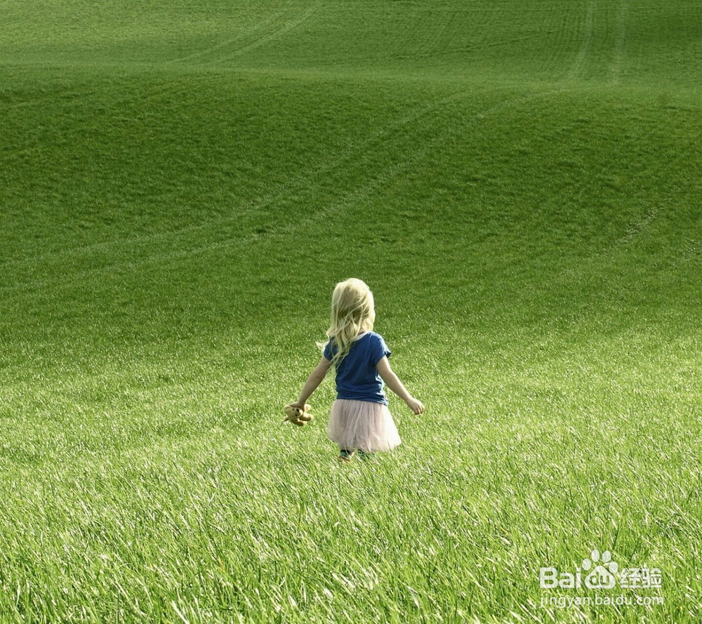 什么时间适合培养宝宝的能力