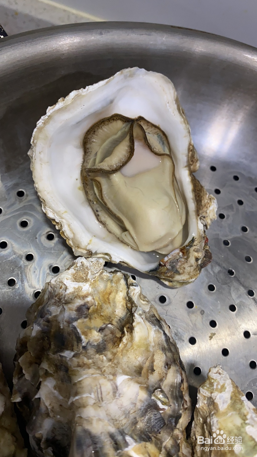 蒜蓉粉丝蒸生蚝的做法